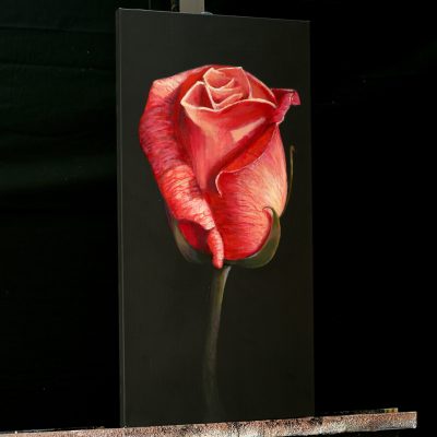 Single Rose - An Acrylic Painting Lesson ONLINE