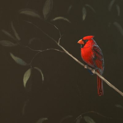 Among The Dark Leaves - An Acrylic Painting Lesson on DVD