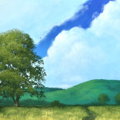 Give Me A Simple Life - An Acrylic Painting Lesson on DVD