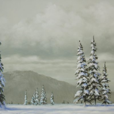 Heavy Snow Covered Trees - DVD Painting Lesson