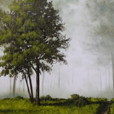 Misty Forest #1 In Oil - Green Misty Forest Oil Painting Lesson