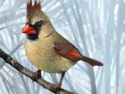 The Lady Cardinal - Original Painting