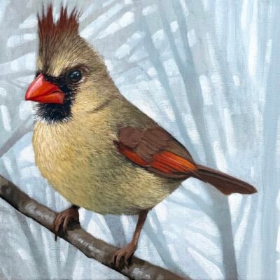 The Lady Cardinal - Original Painting