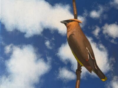 The Waxwing - original painting