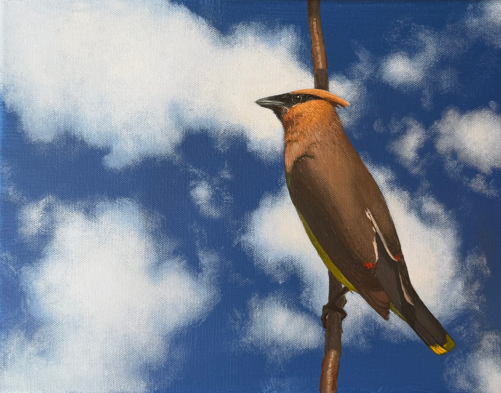 The Waxwing - original painting