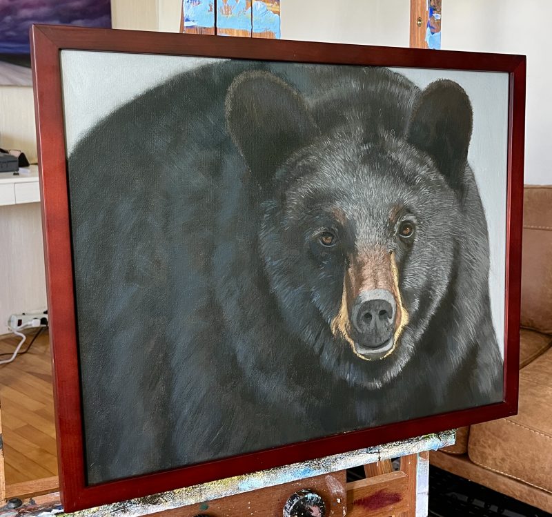 Black Bear in acrylic, painting lesson on DVD