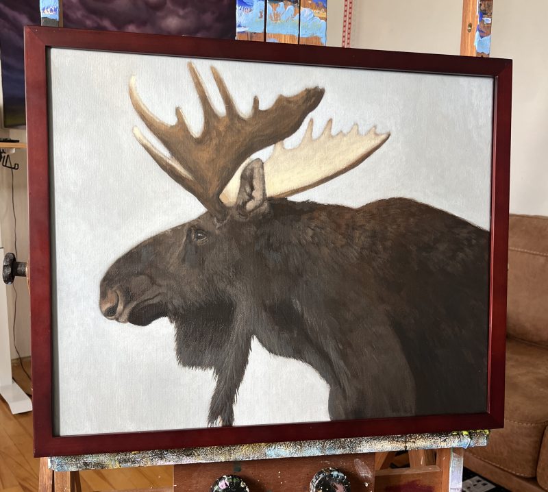 A Curious Moose - acrylic painting lesson on DVD