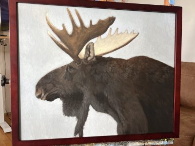 A Curious Moose - acrylic painting lesson on DVD