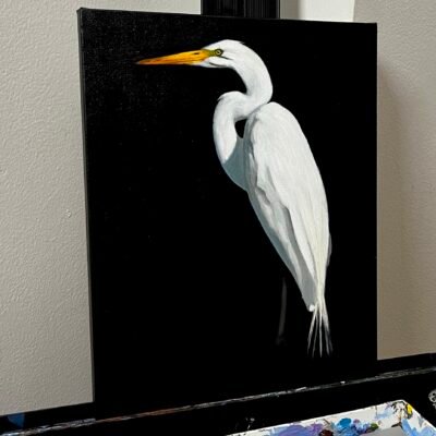 Egret In Oil - A Painting Lesson on DVD