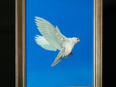The Lone Dove - original acrylic painting