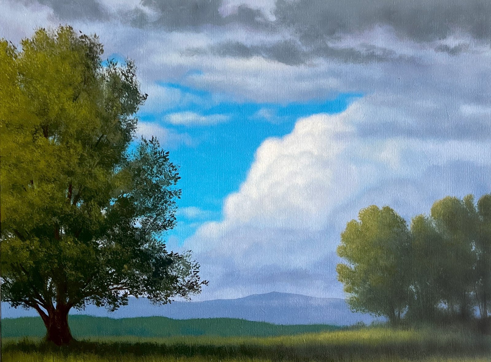 A Simple Summer Day - acrylic painting lesson on DVD