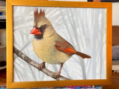 The Lady Cardinal - an acrylic painting lesson online